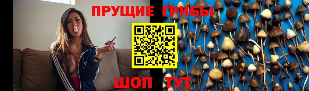 Псилоцибиновые грибы MAGIC MUSHROOMS Ахтубинск